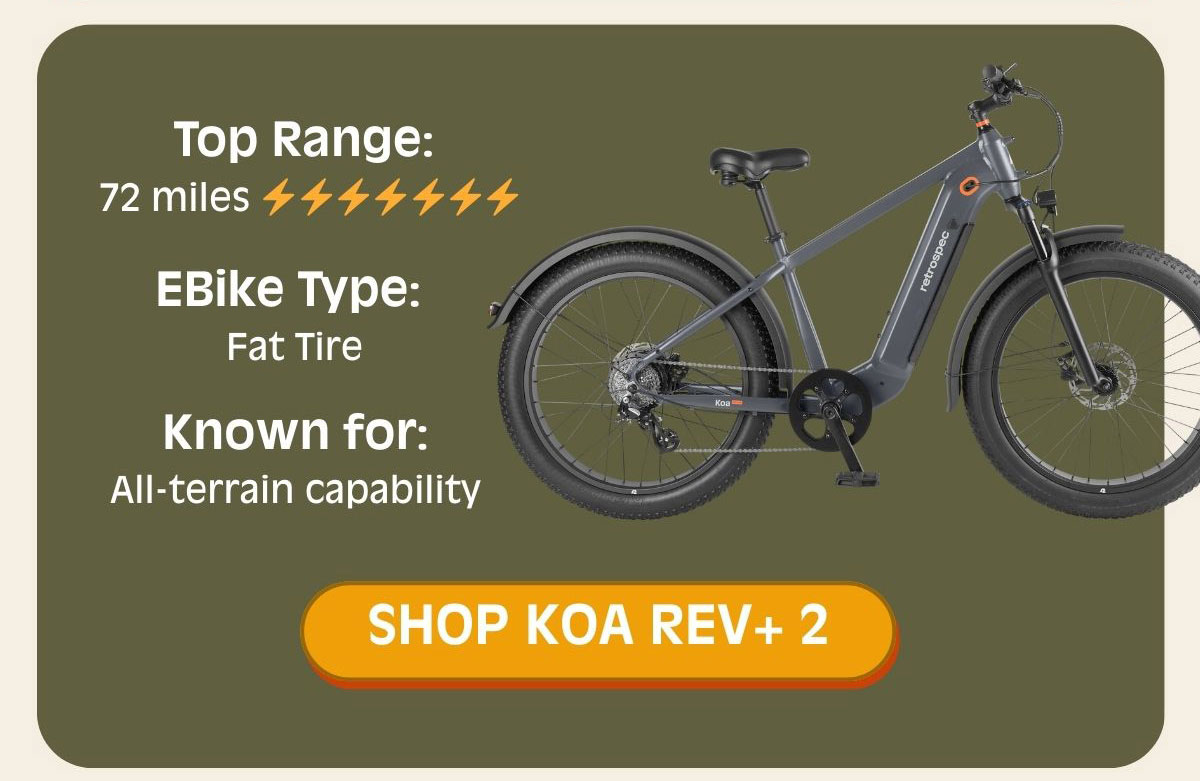 SHOP KOA REV+ 2