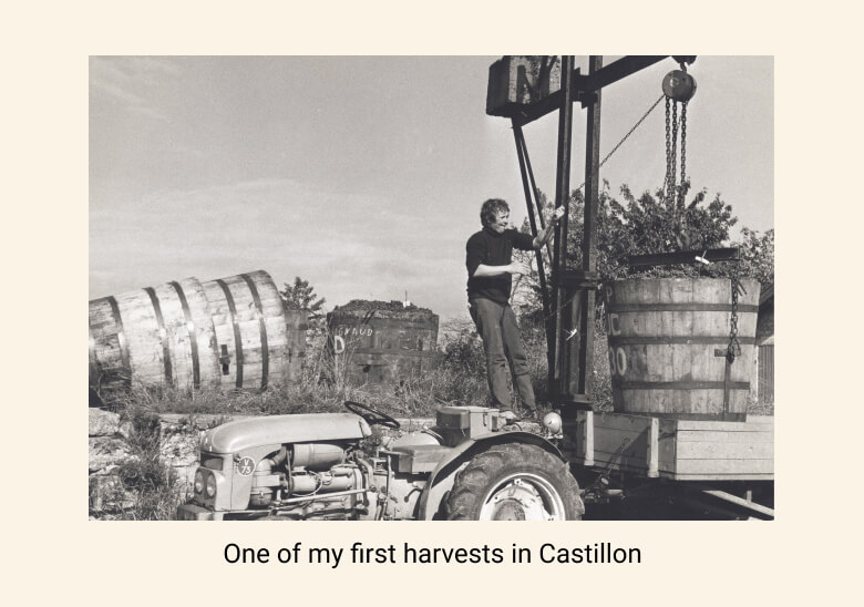 First harvest in Castillon