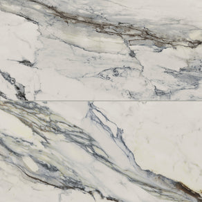 Aniston 24x48 Matte Porcelain Tile in Calacatta Antico