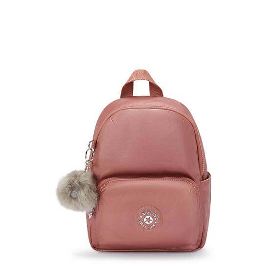 Zinna Metallic Backpack