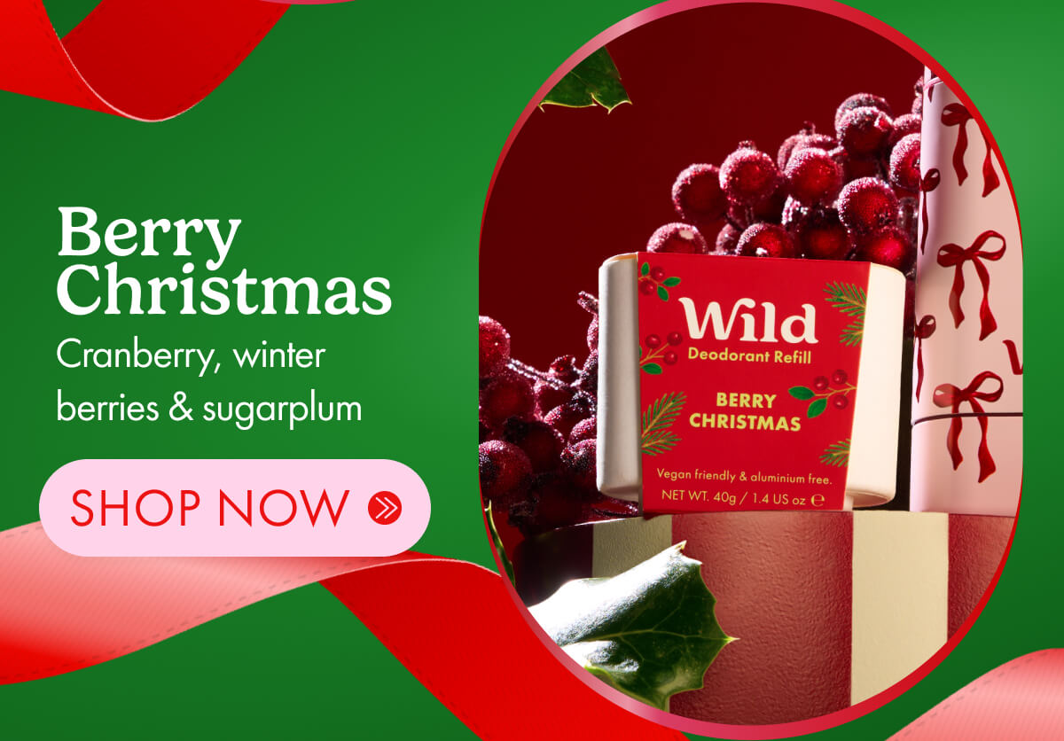 Shop Bow Case + Berry Christmas