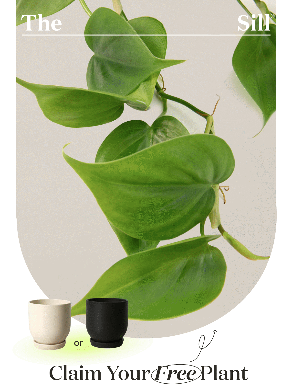 Claim Your Free Plant