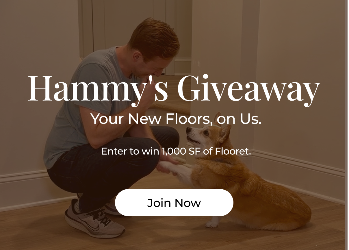 Hammy's Giveaway