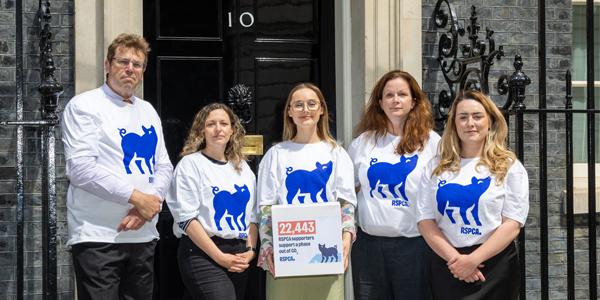 RSPCA staff hand in petition against the use of carbon dioxide (CO2) for the slaughter of pigs to Number 10 Downing Street.