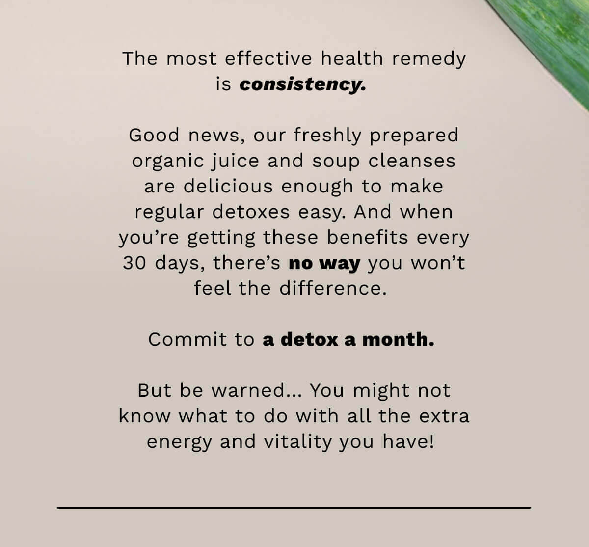 The most effective health remedy is consistency. Good news, our freshly prepared organic juice and soup cleanses are delicious enough to make regular detoxes easy. And when you’re getting these benefits every 30 days, there’s no way you won’t feel the difference. Commit to a detox a month.   But be warned… You might not know what to do with all the extra energy and vitality you have! 
