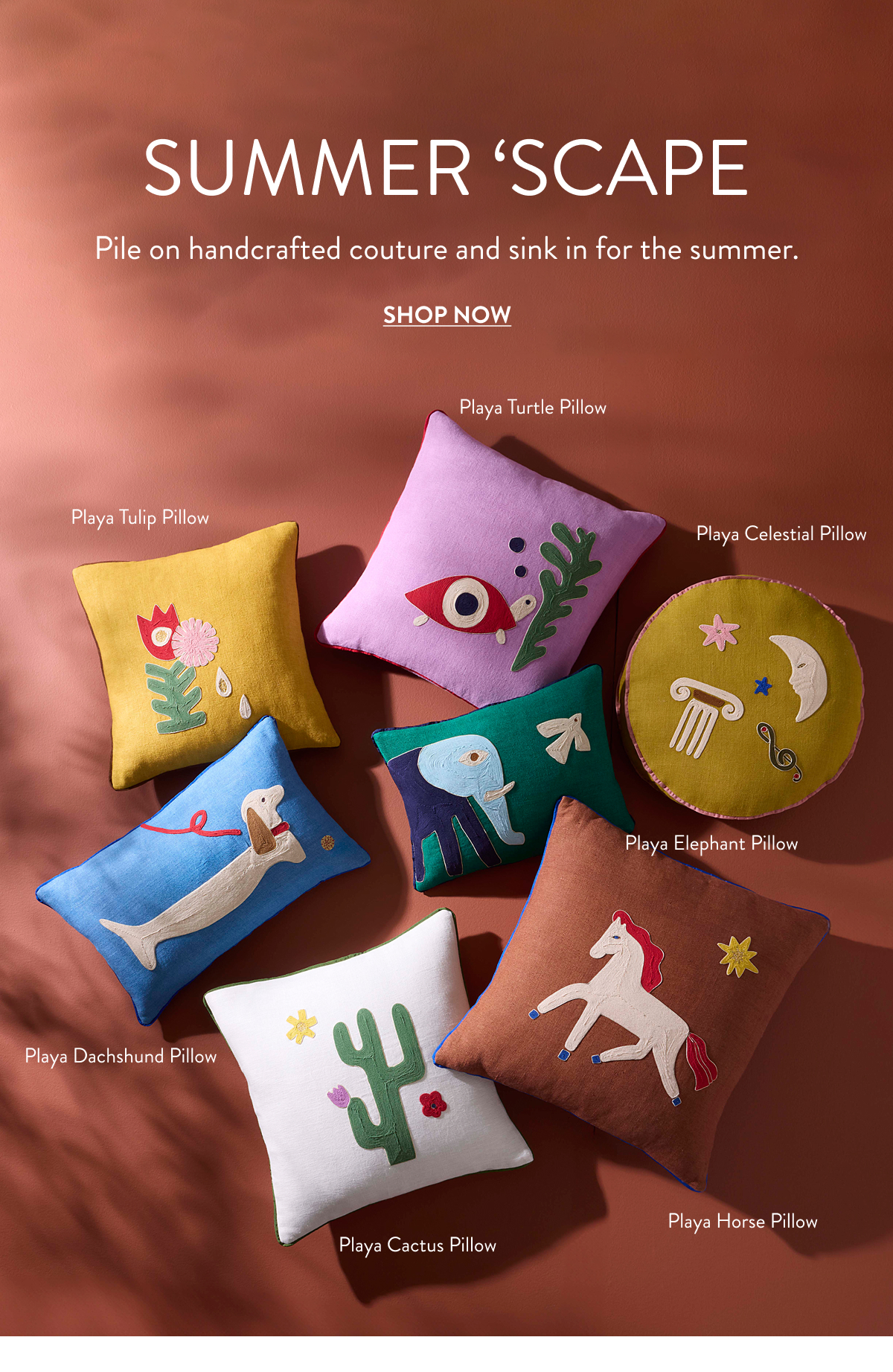 Shop Pillows