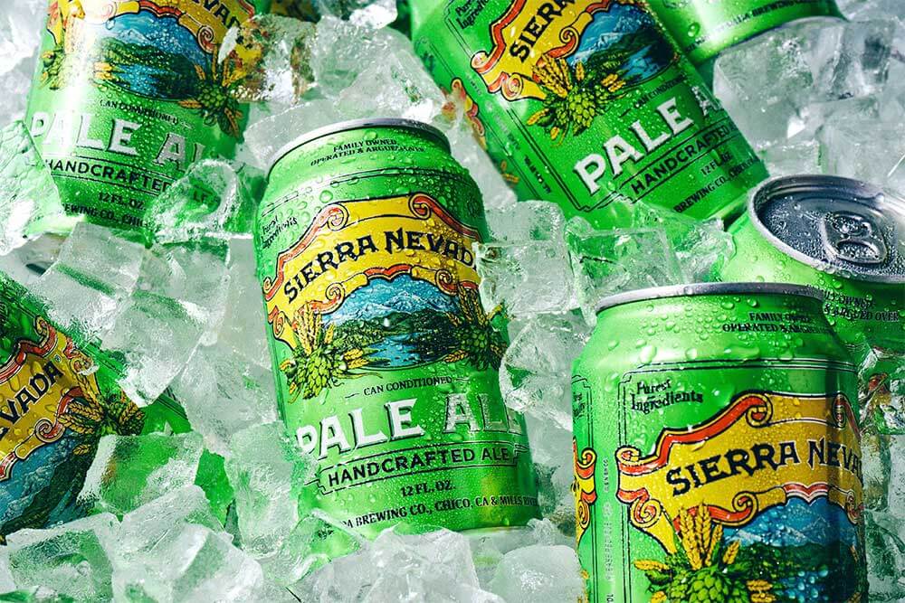 Cans of Pale Ale in ice