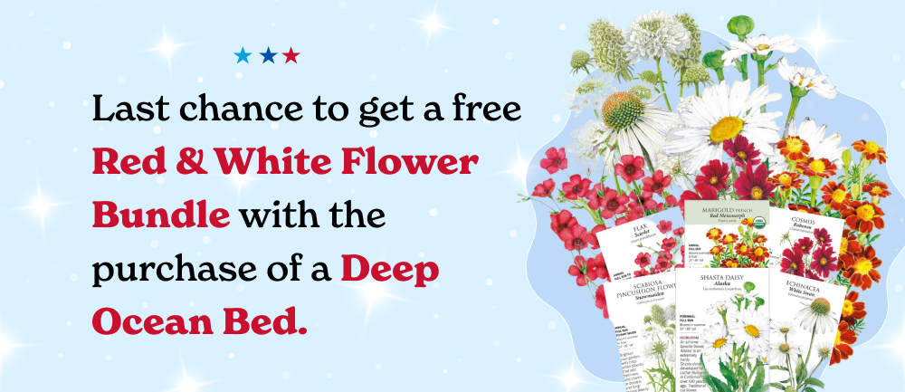  And right now, you get a Red & White Flower Bundle with purchase. 