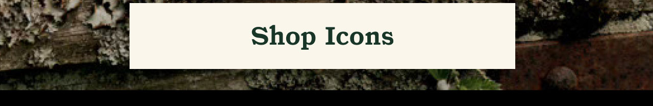 Shop Icons