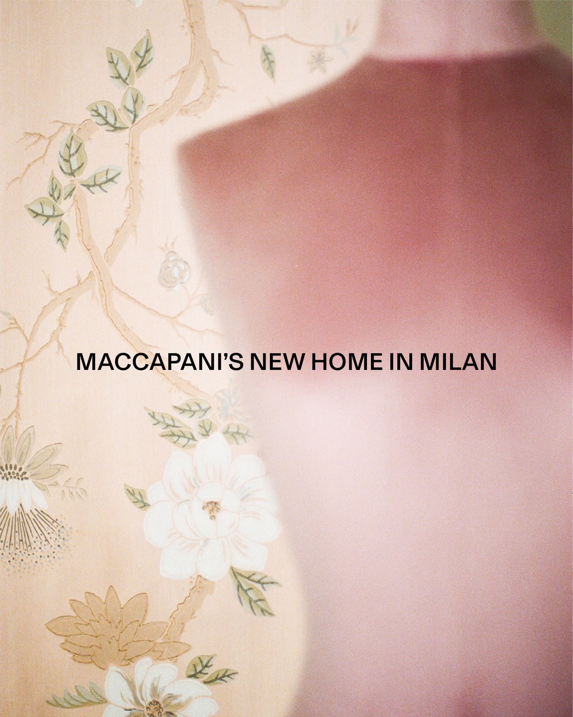 Maccapani