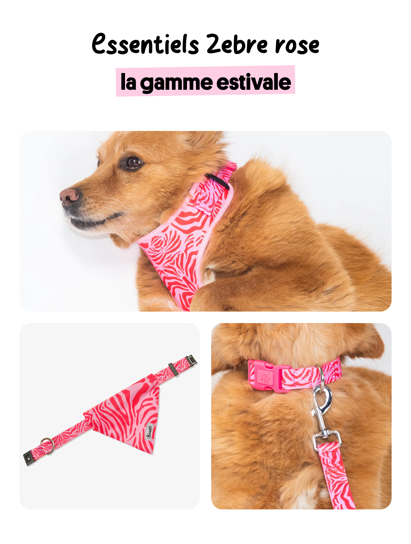 Gamme estivale 