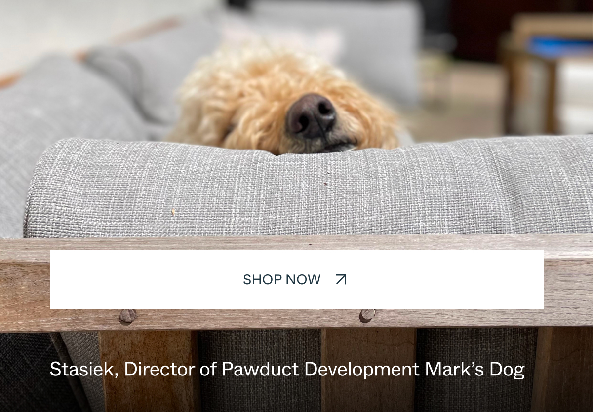 Shop Now Stasiek, Director of Pawduct Development Mark’s Dog