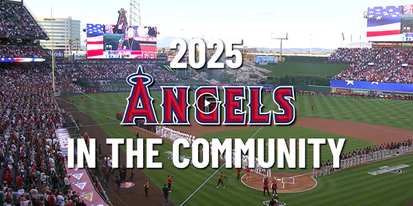 Angels in the Community: Year in Review