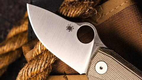 Spyderco’s Bulldog EDC Knife Is a Sneaky Collab with an Underrated Brand
