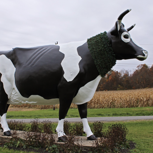 The Big Cow