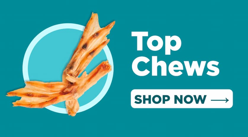 top chews - shop now 