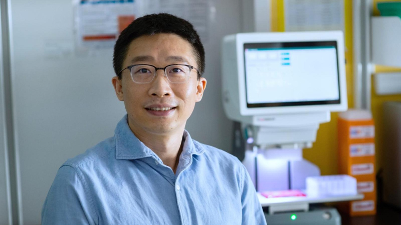 Professor Xiao Shawn Liu