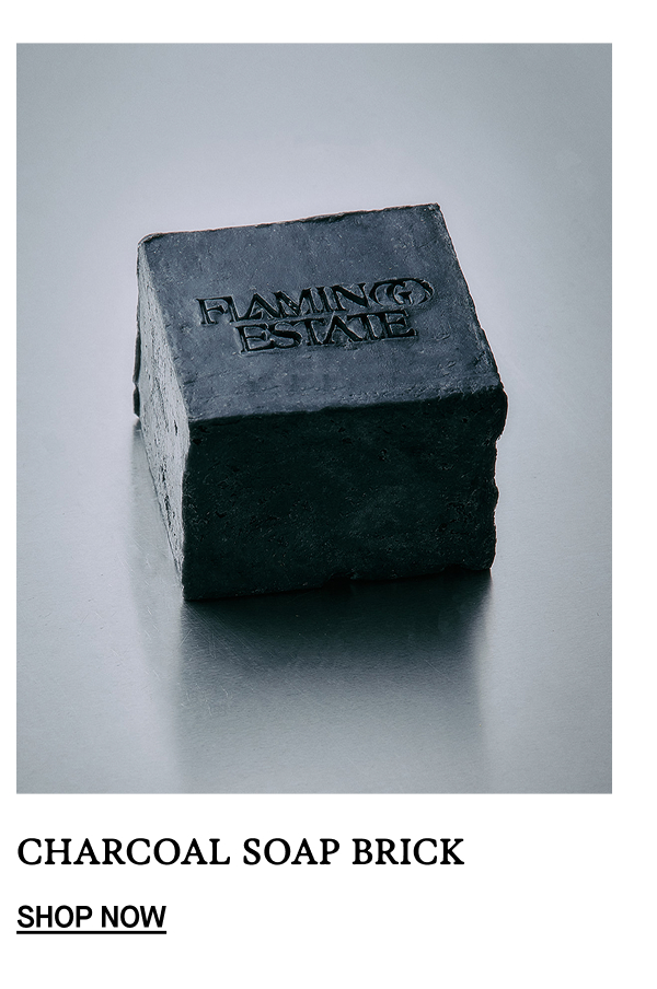 Charcoal Soap Brick