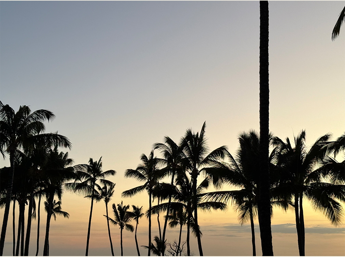 Shop The Vacation Edit at DÔEN