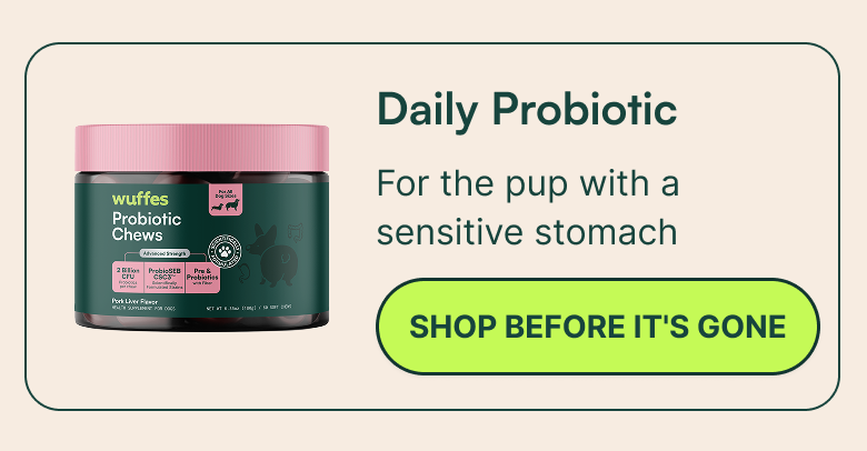 Daily Probiotic