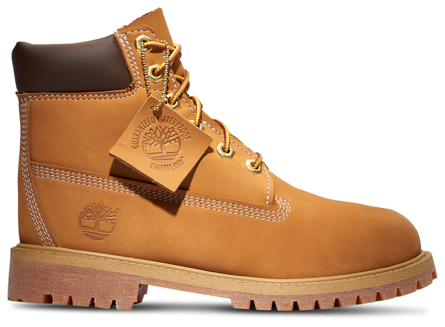Timberland Waterproof 6" Boots