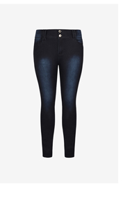 Shop the Asha Fit Skinny Leg Short Jean
