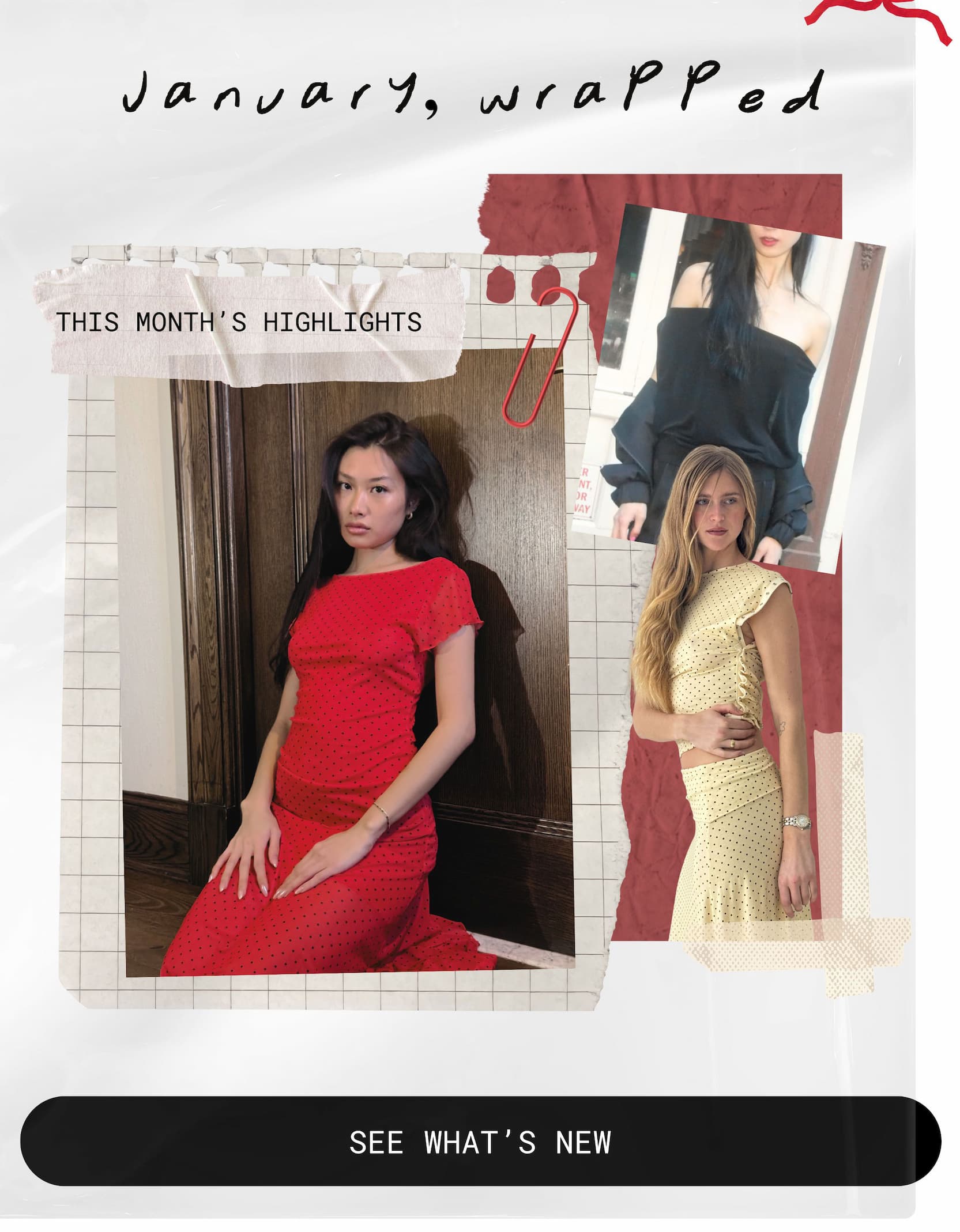 january, wrapped | this month’s highlights | see what’s new