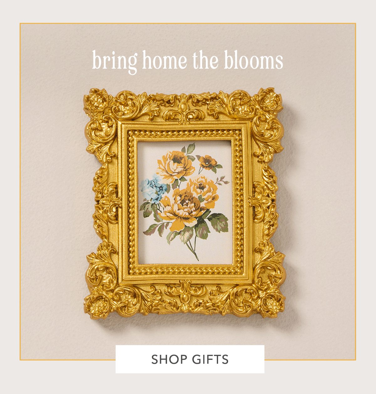 Shop Gifts 