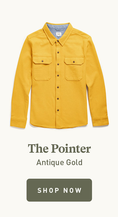 Pointer Antique Gold