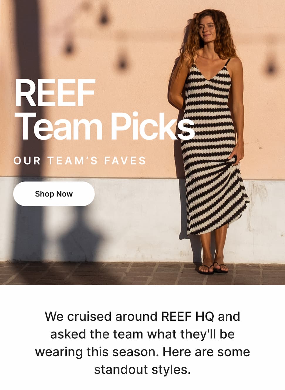 Shop REEF's Favs