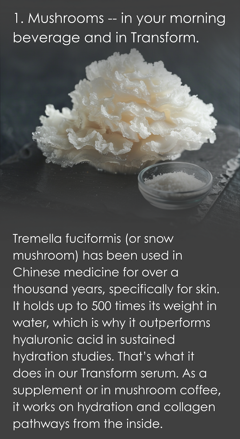 Snow mushroom