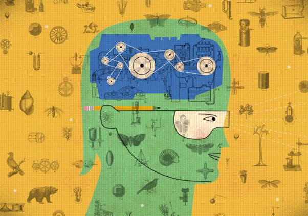 Illustration of a human head in profile with gears inside the brain and scientific sketches throughout, symbolizing engineering, innovation, learning and the connection between technology and nature.