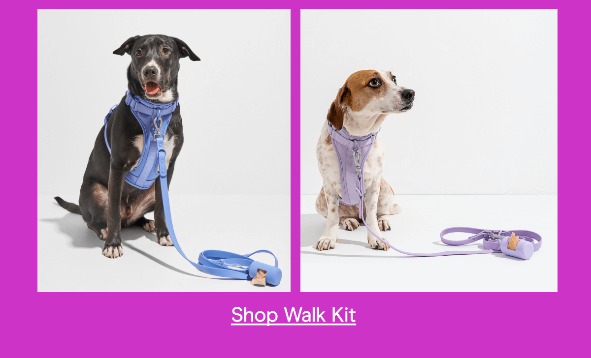 Walk Kit