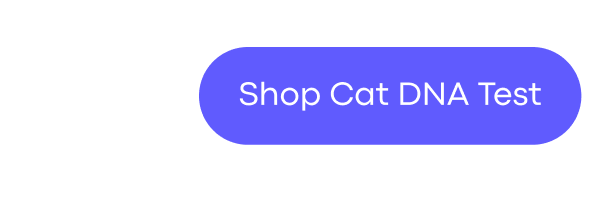 Shop Cat DNA Test