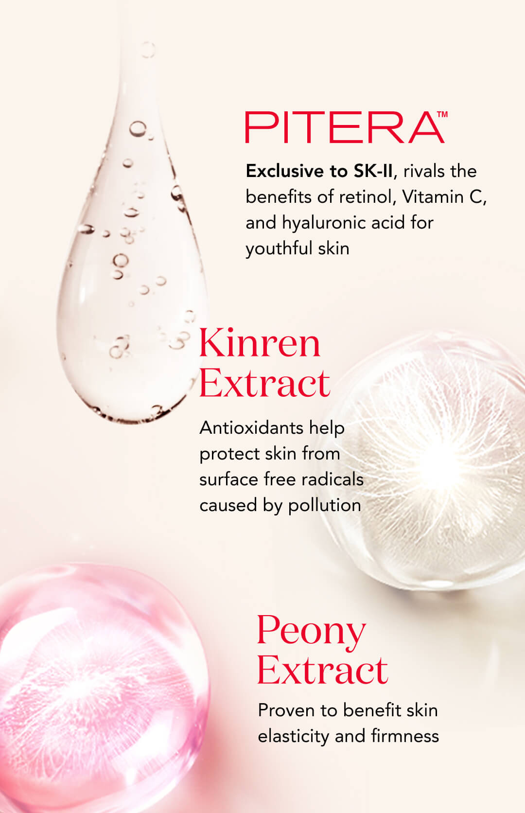 Pitera. Exclusive to SK-II, rivals the benefits or retinol, Vitamin C, and hyaluronic acid for youthful skin. Kinred Extract, antioxidants help protect skin from surface free radicals cause by pollution. Peony Extract proven to benefit skin elasticity and firmness. 