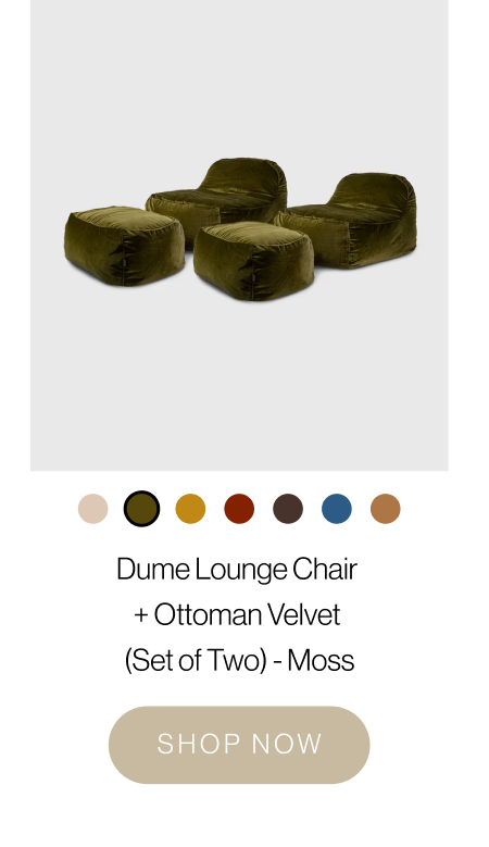 Dume Lounge Chair + Ottoman Velvet 