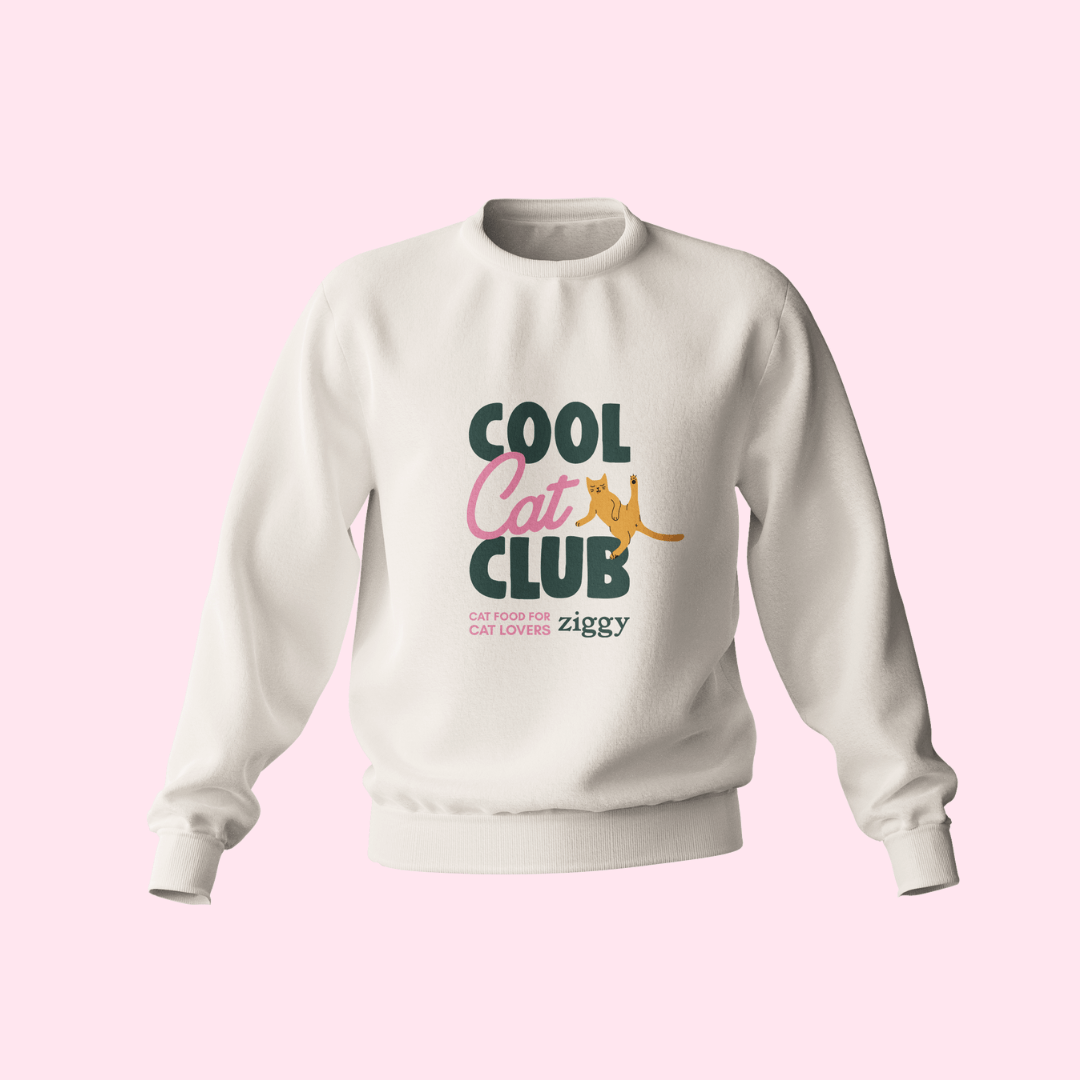 Image of Pull Cool Cat Club