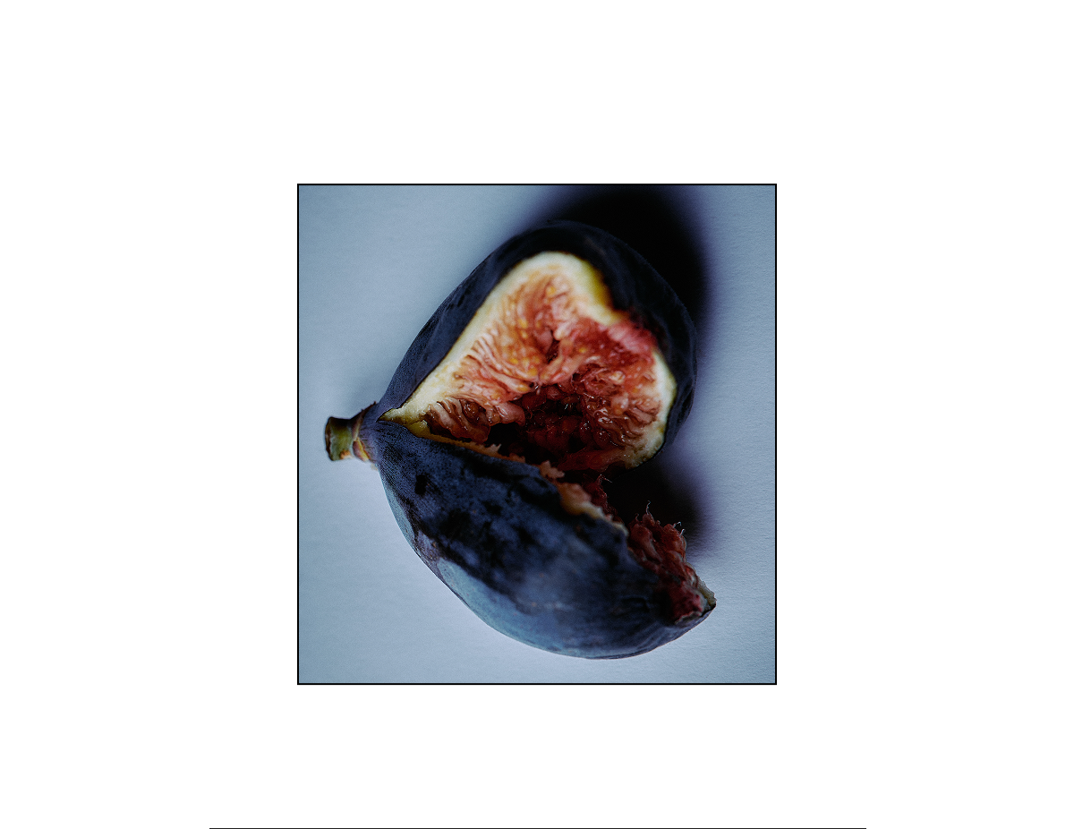 Fig and Fennel