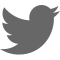 Twitter Icon