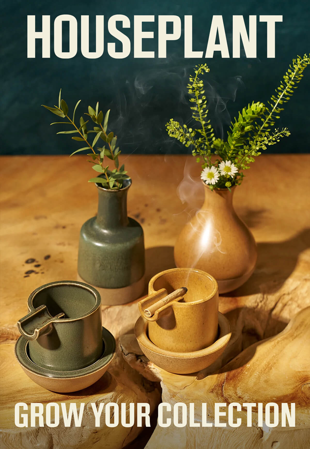Let Houseplant Elevate Your Home | Shop Houseplant