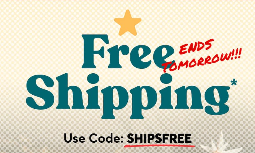 Free Shipping
