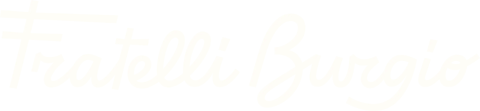 Fratelli Burgio