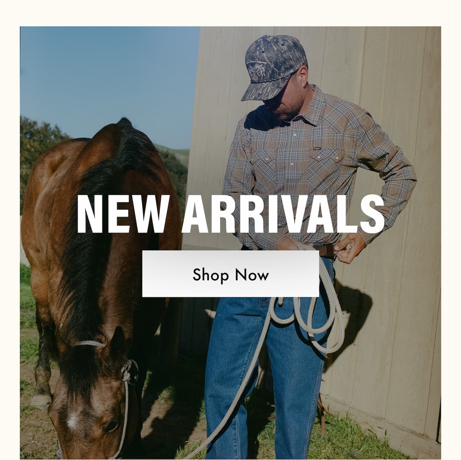 NEW ARRIVALS - Shop Now