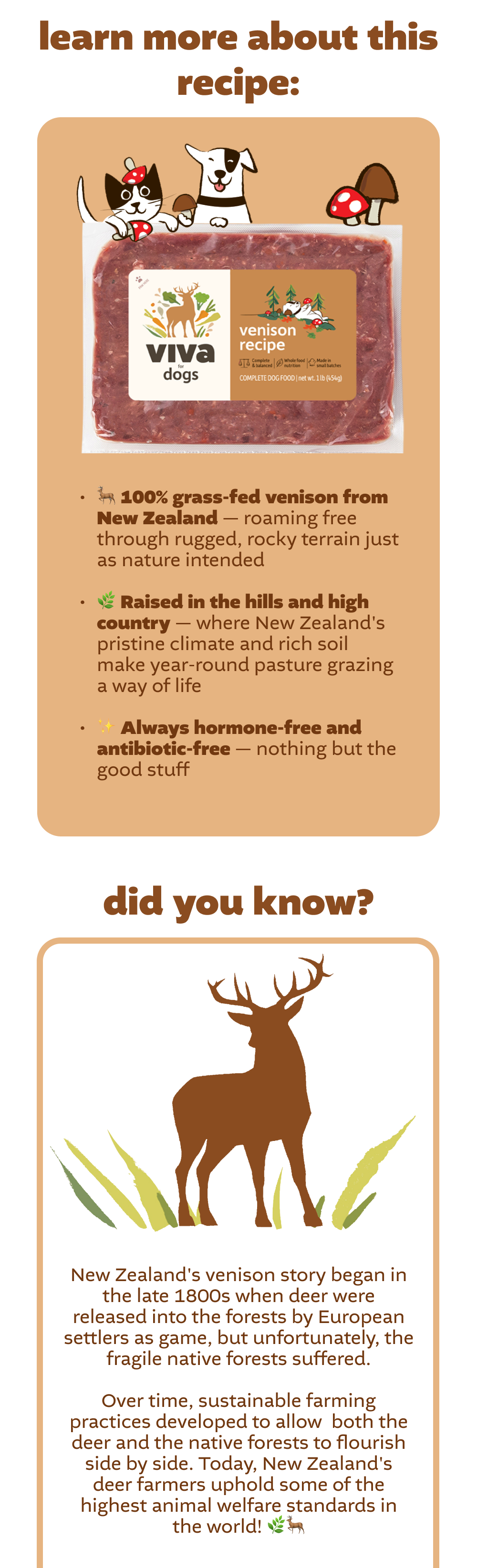 All about the venison recipe