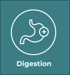 Digestion Box