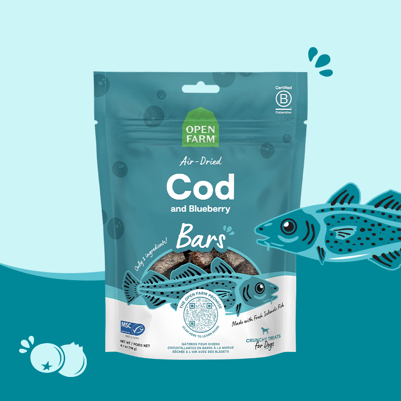 Icelandic Air-Dried Dog Treats