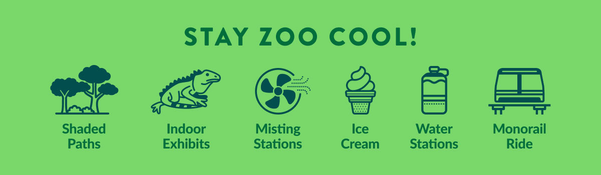 Stay Cool Banner