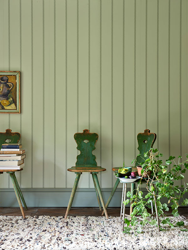 A row of three chairs against a wall decorated in a green colourway of Petal Stripe. There is an overgrown pot plant on one chair spilling onto the floor. The room feels as though the natural world has been brought inside, with a hint of wilderness.