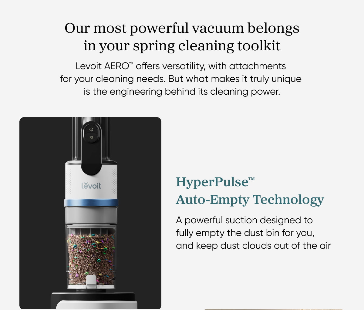 Our most powerful vacuum belongs in your spring cleaning toolkit