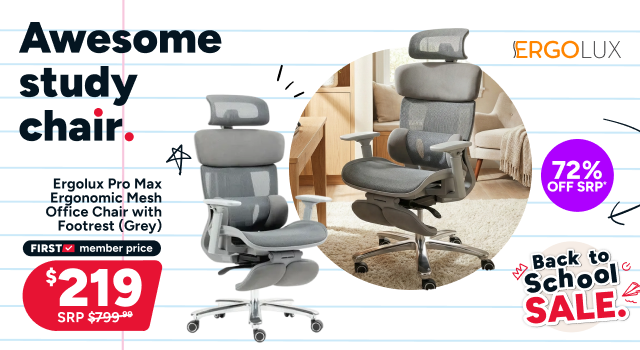 Ergolux Pro Max Ergonomic Mesh Office Chair with Footrest (Grey)